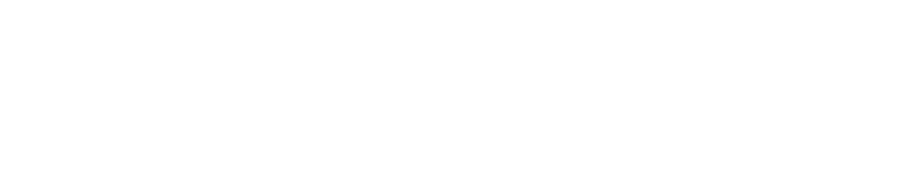 Prometrik